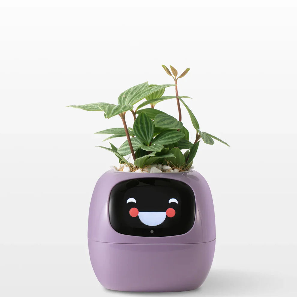 Smart AI Pet Planter