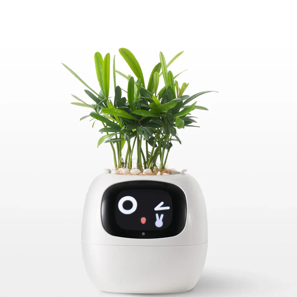 Smart AI Pet Planter