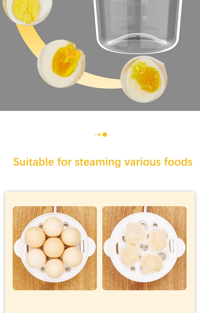 Multifunctional Electric Egg Boiler
