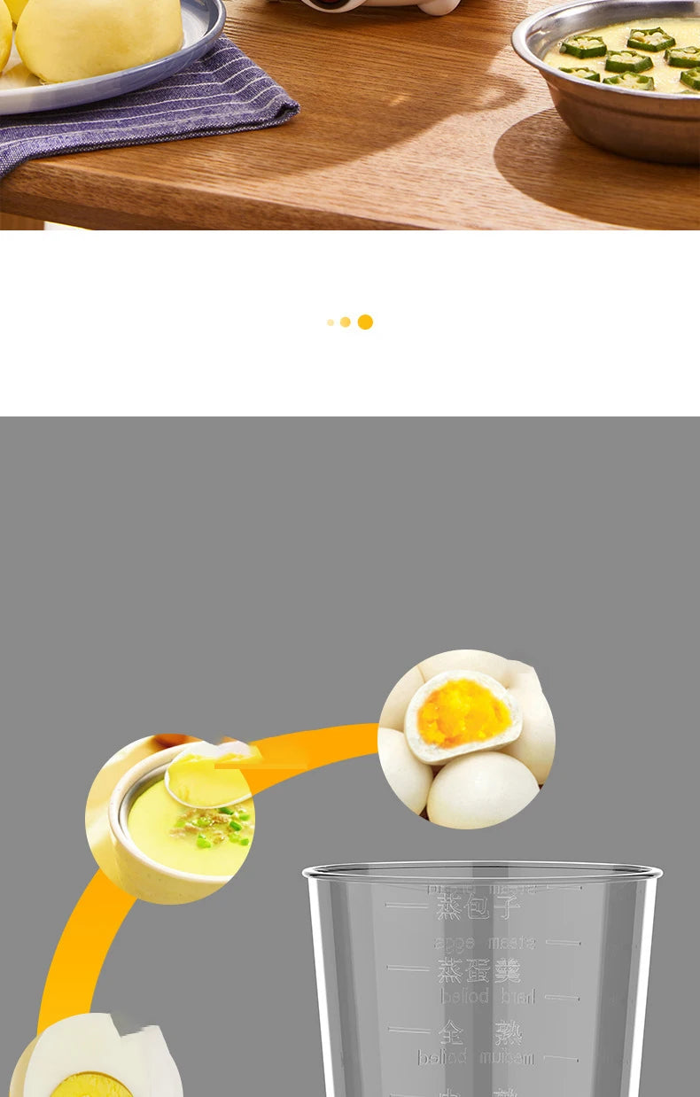 Multifunctional Electric Egg Boiler