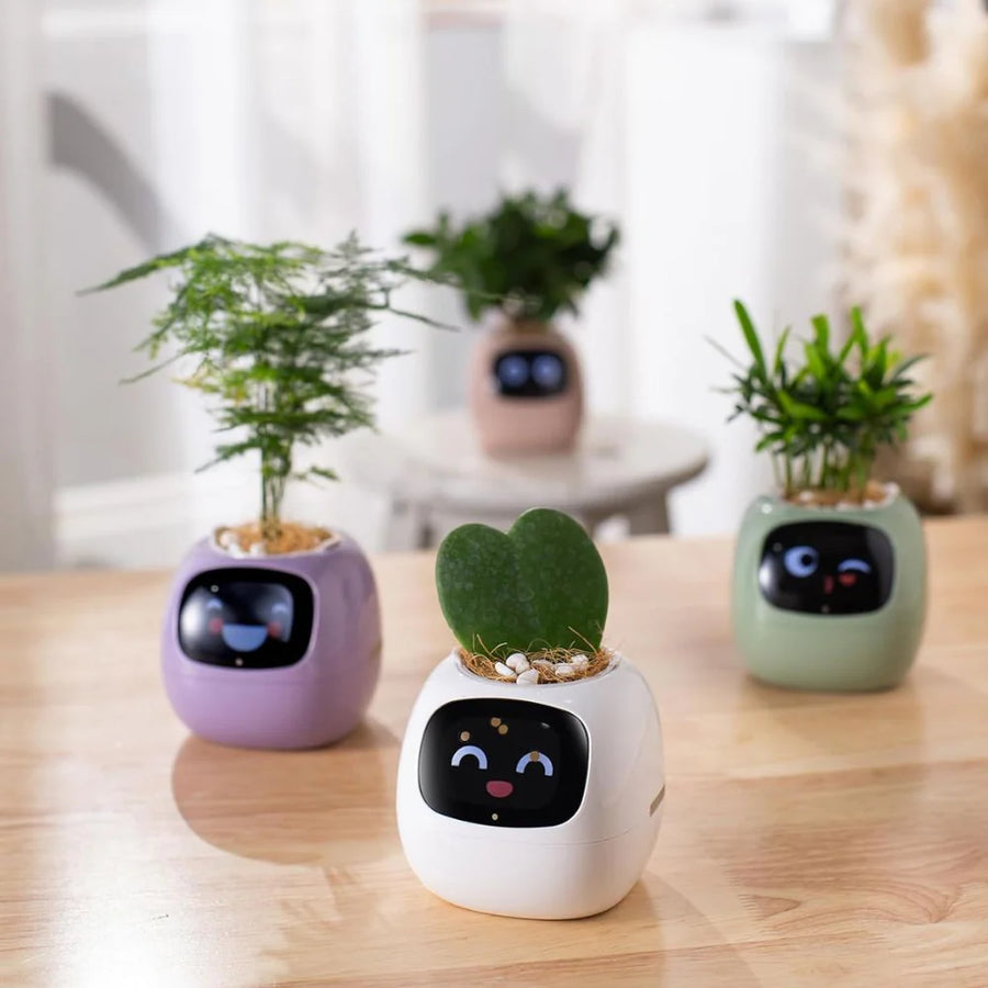 Smart AI Pet Planter