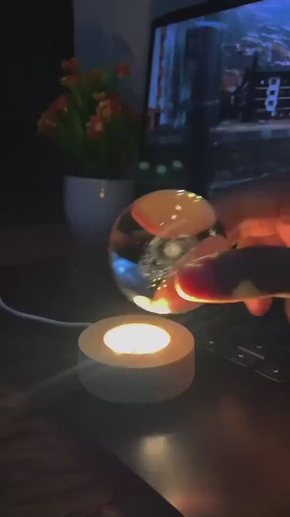 1.mp4